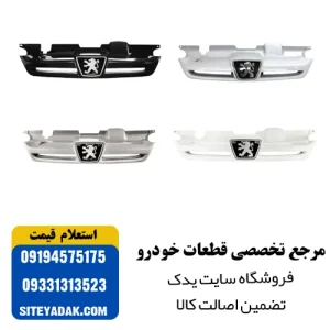 جلوپنجره فابریک پژو پارس